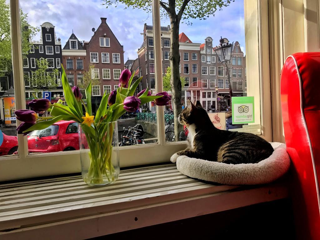 Tulip Of Amsterdam Acomodação com café da manhã Exterior foto